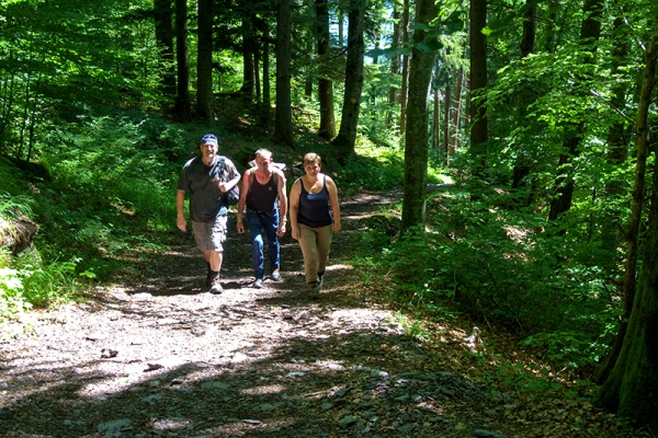 Igel im Weisstannental