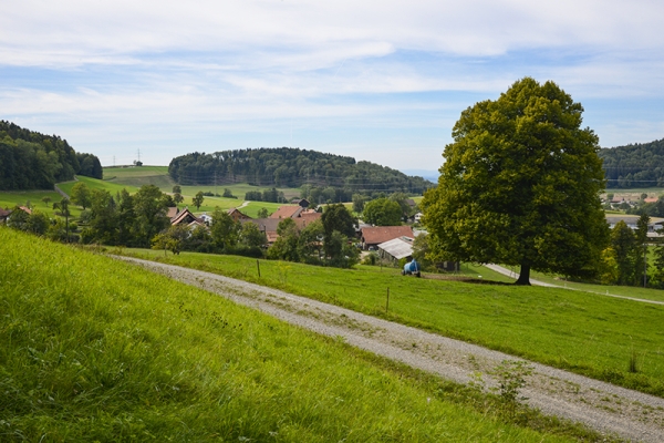 Wandern am Feierabend 4