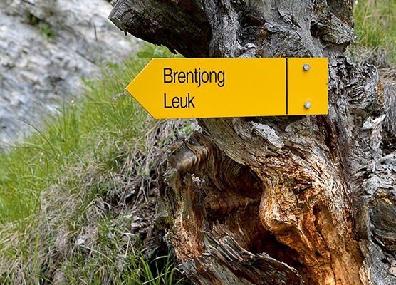 Variétés anciennes dans le Valais central