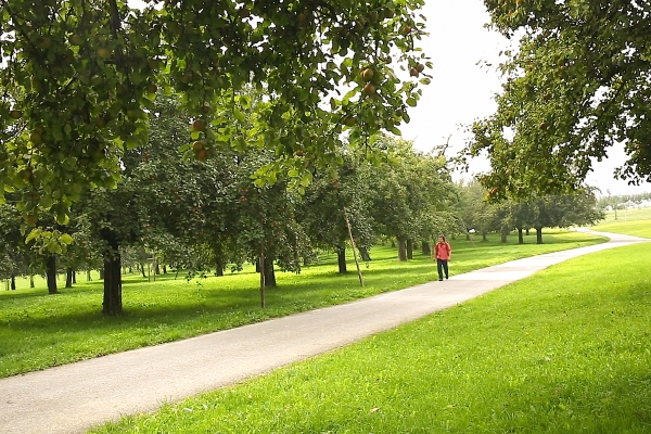 Le Mausacker à Steinebrunn (TG)