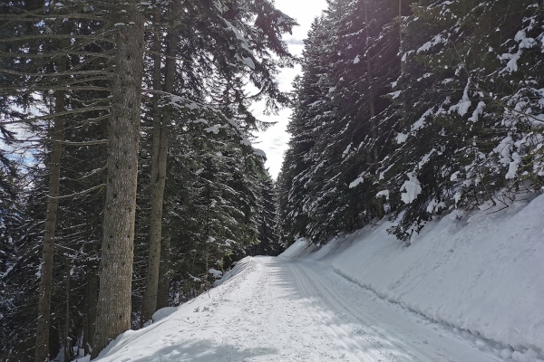 Randonnée hivernale au pied des Muverans