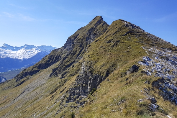 Gipfelerlebnis im Diemtigtal