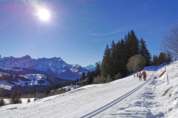 Wintersonne im Chablais