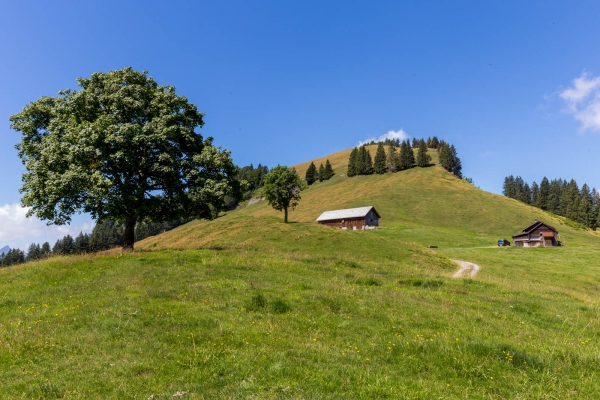 Vers Schwägalp par les gorges d’Ofenloch (AR)