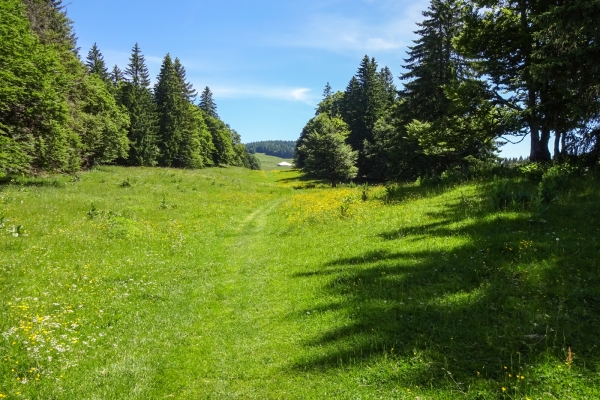 Gipfelabenteuer im Waadtländer Jura