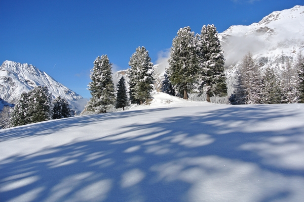 Winterzauber in Preda