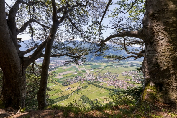 De Seewis à Malans par le Crupspitz