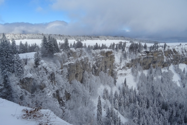 Schneeschuhtour auf dem Grenchenberg