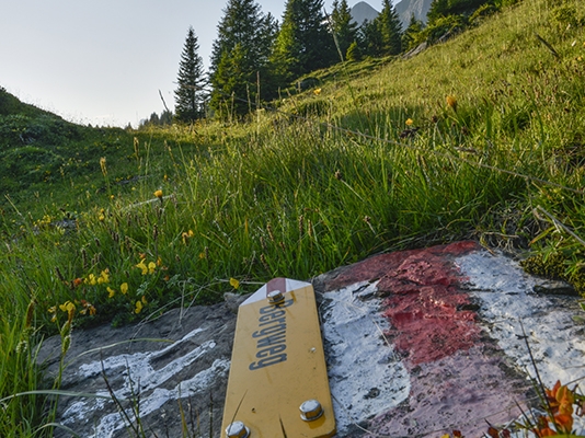 Bergfrühling am Alvier