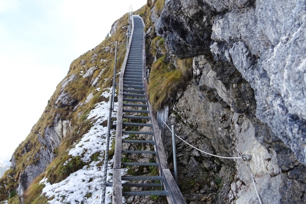 Vers les majestueux Rochers de Naye 