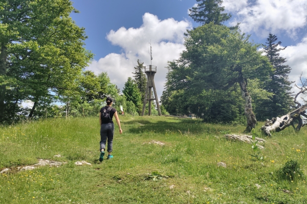 Les hauts du Jura, un paysage varié