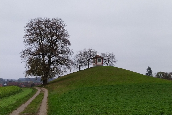 Jahresschlusswanderung Marthalen - Rheinau