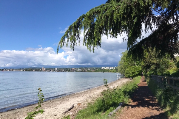 Randonnée au bord du lac Léman