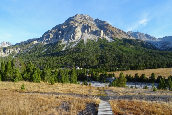 Auf den Munt la Schera im Nationalpark