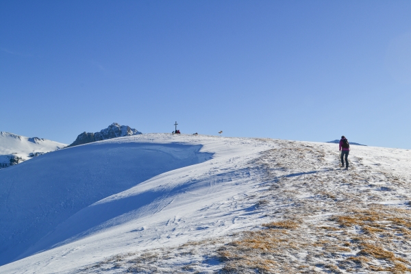 Un sommet des Préalpes fribourgeoises