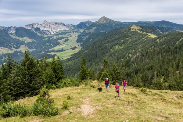 Sanfte Höhenwanderung