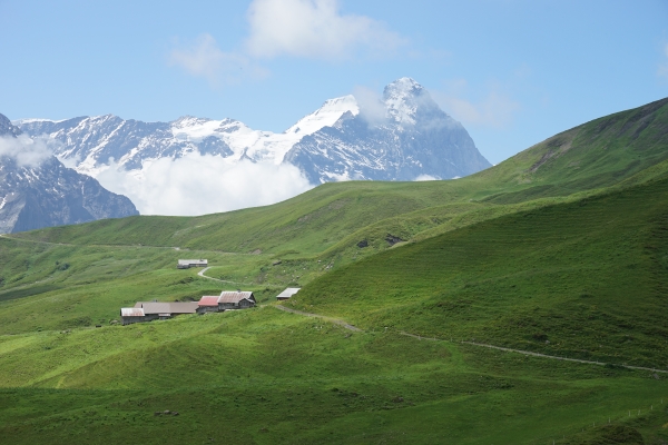 Panoramaweg zur Grossen Scheidegg