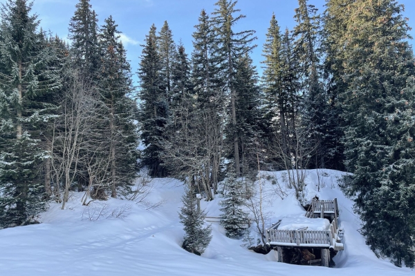 Bei den Haslizwergen im Winter