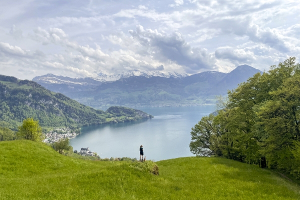 Milder Frühling und viel Aussicht an der Rigi