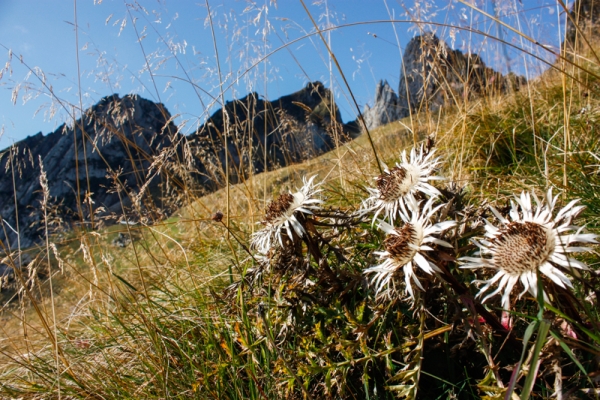 Totale Entschleunigung am Säntis