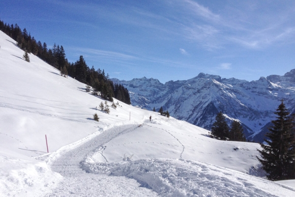 Verträumte Schneelandschaft