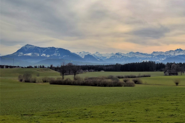 Au plus près des Alpes (LU)