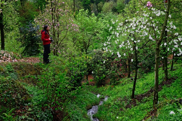 Le Gambarogno au printemps