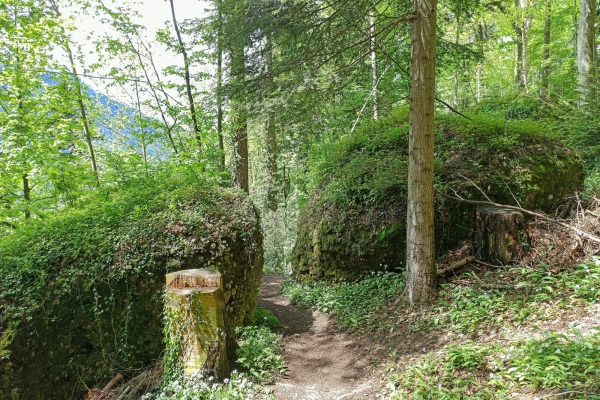 Dans la région de l’éboulement de Goldau