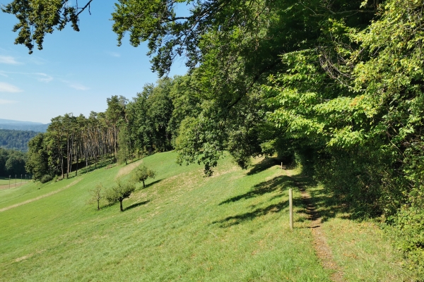 Vom Glatttal über den Laubberg an den Rhein