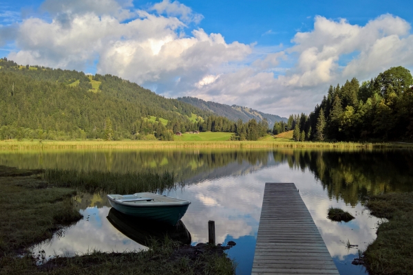 Das Saanenland von oben