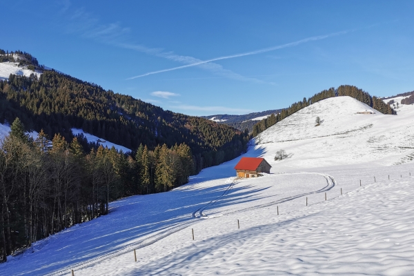 Rundtour auf Schneeschuhen im Greyerzerland