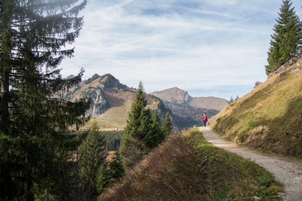 Elfes des marais et Mürtschenstock