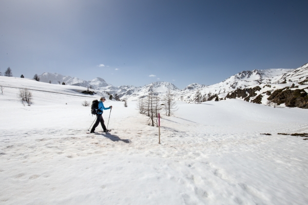 Mit Schneeschuhen auf dem Simplon