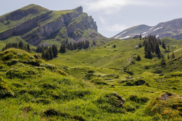 Fraîcheur estivale et lieux de pouvoir