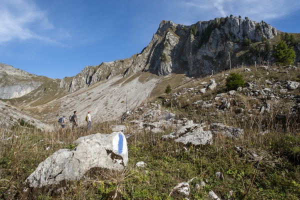 Dans les Préalpes fribourgeoises