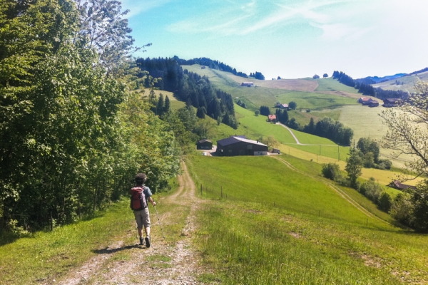 De St. Peterzell à Waldstatt