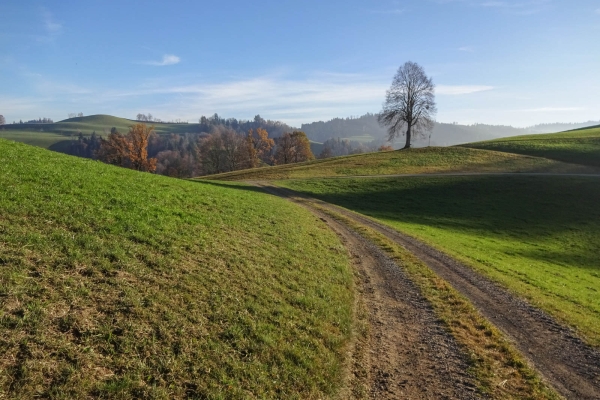 Rund um den Hegewald