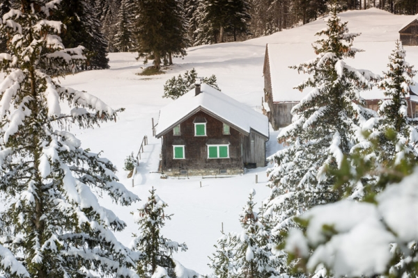 Au sommet du Fähnerenspitz