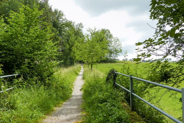 Auf dem Zürichsee-Rundweg