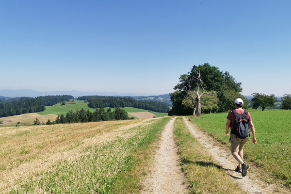 Höhenwandern im Oberaargau