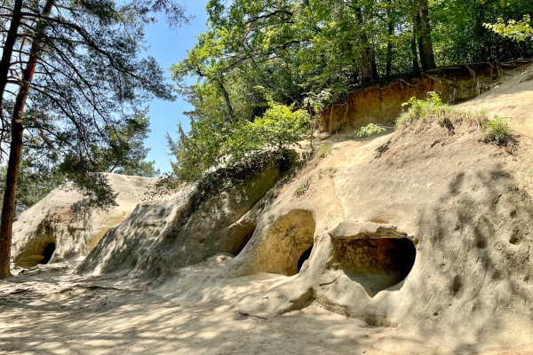 Auf historischen Pfaden am Mont Vully