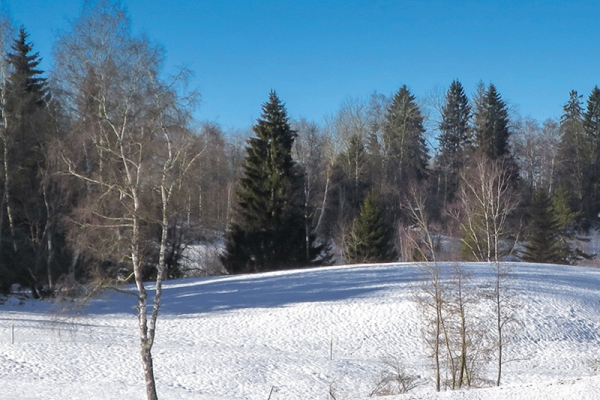 Circuit de randonnée sur le Zugerberg