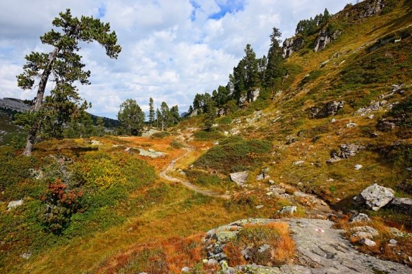 Autour des Sibe Hängste