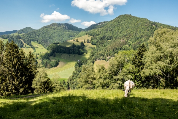 Auf und ab im Tössbergland