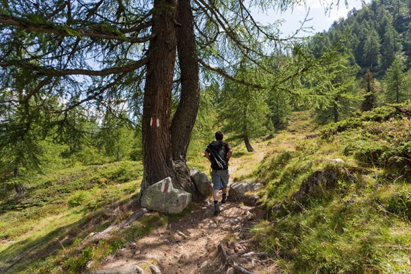 Die Alpen im Bedrettotal