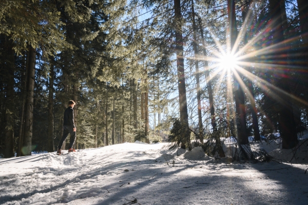 Aufregende Ausblicke auf dem Hochalp Trail