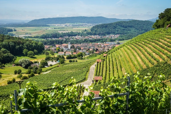 De Brugg au château d’eau de la Suisse