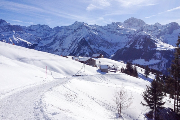 Verträumte Schneelandschaft