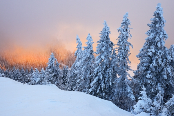 Sich den Chasseron verdienen