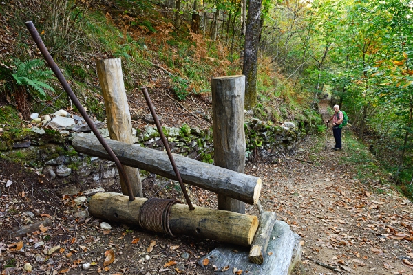 Forêt automnale à Lodano